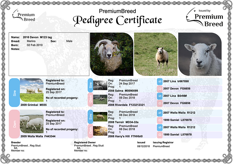 Pedigree Certificate Example
